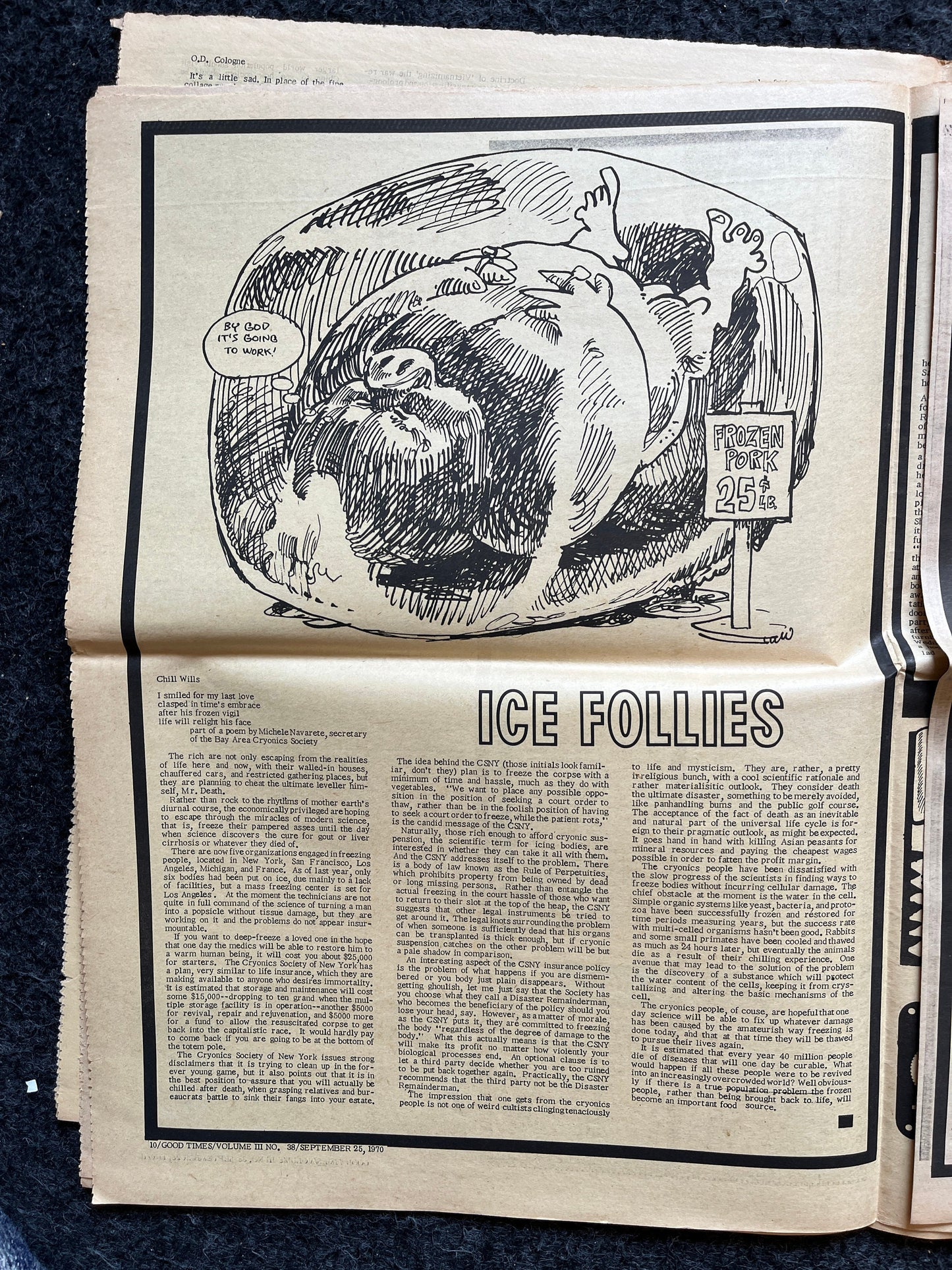 1970s Free Aid to Hitchhikers High Times Underground Newspaper, Black Panther Party, Vintage Antique Collectibles, Hippie Grunge Art Gifts,
