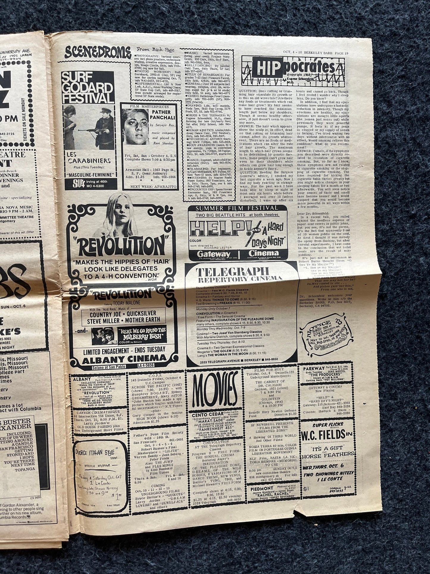 1970s Berkeley Bark CounterCulture, Black Panther Party, Underground Newspaper, Vintage Newspaper, San Francisco California, Black Gifts