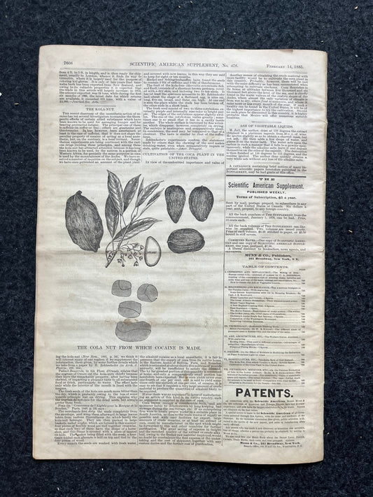 1800s Panama Canal Creation, Engineering Gifts, Scientific America, Science Education Wall Decor Gifts, Medical Curios, Vintage Newspaper, O