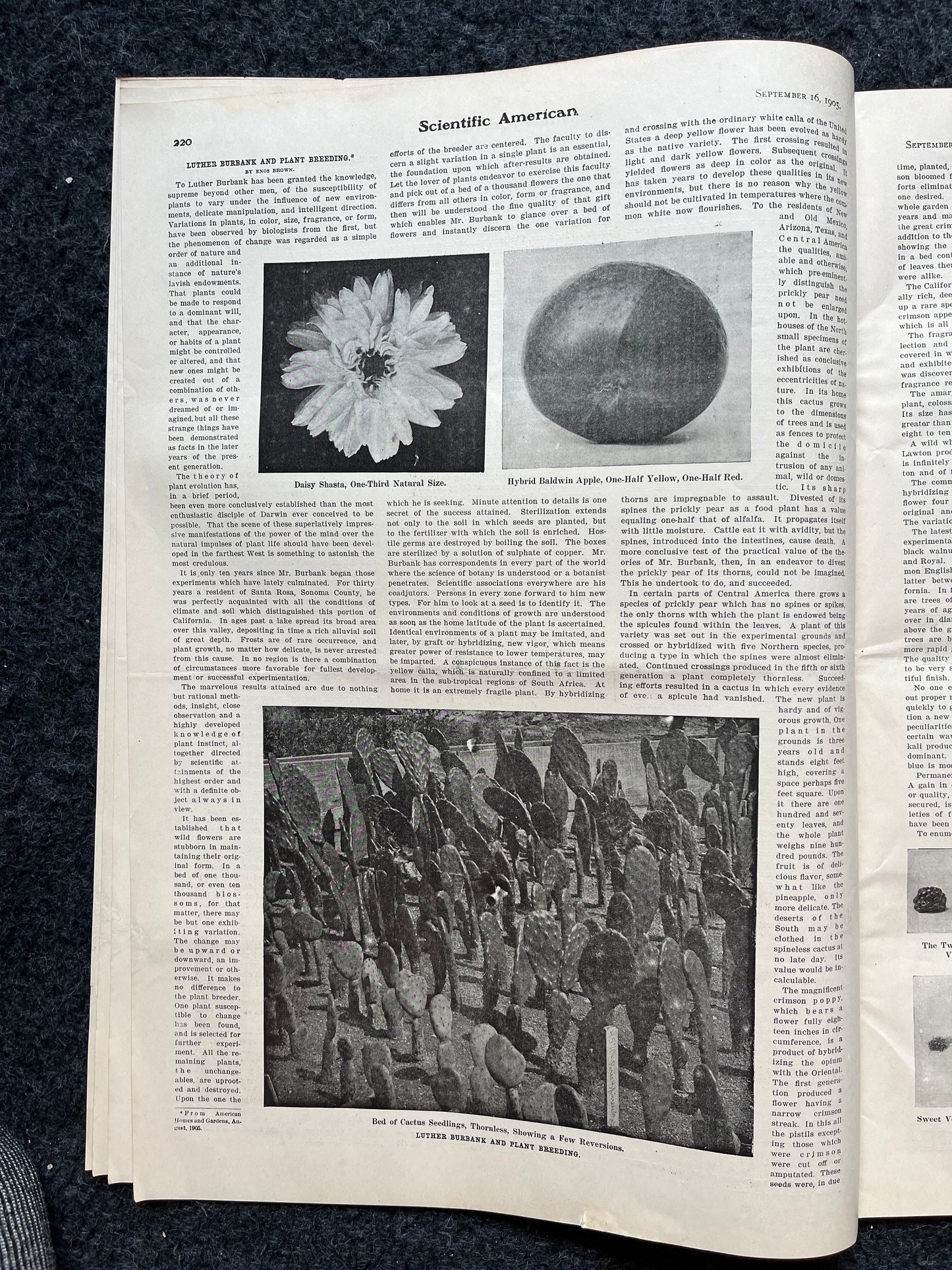 1905 Grand Central Station Remodeling, NYC Memorabilia, NYC Central Station, Scientific America Newspaper, Science Education Wall Decor Gift