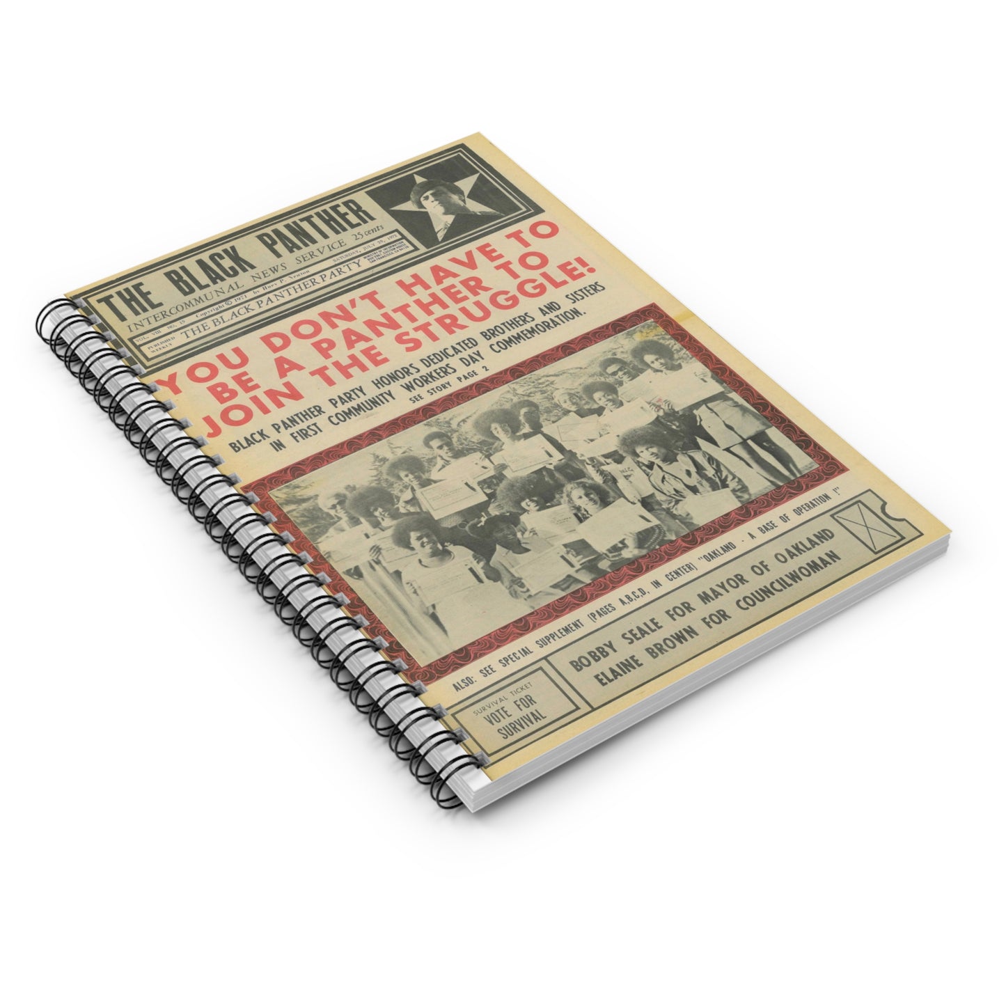 Black Panther Spiral Notebook, Education Art Civil Rights Memorabilia, Teaching Student Gifts