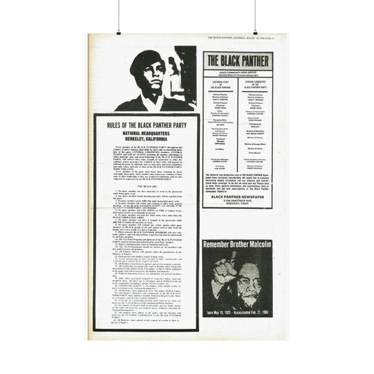 1970s Black Panther Party Rules, Black Political Party Propaganda Poster,
