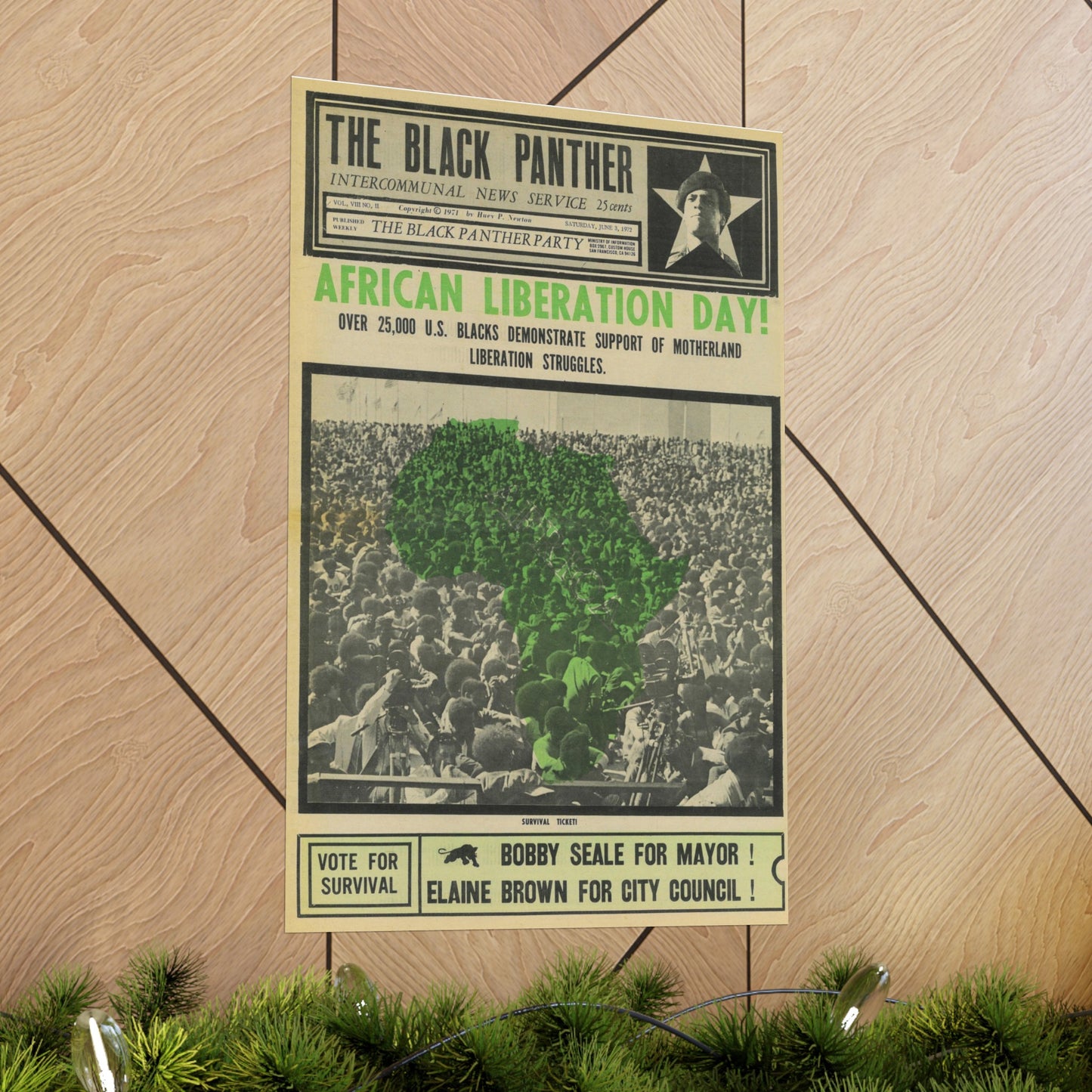 1970s African Liberation Day Black Political Party Propaganda Poster,