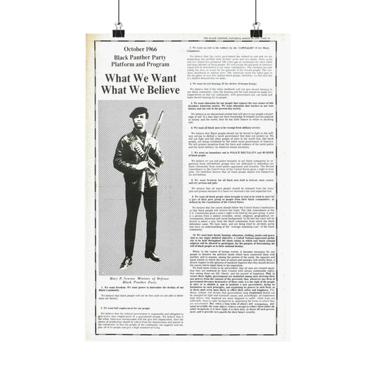 1971 Black Panther Political Party Demands, Propaganda Poster, Black Art Gifts Wall Decor, Civil Rights Liberal Political Memorabilia, Vintage History, African American Styles