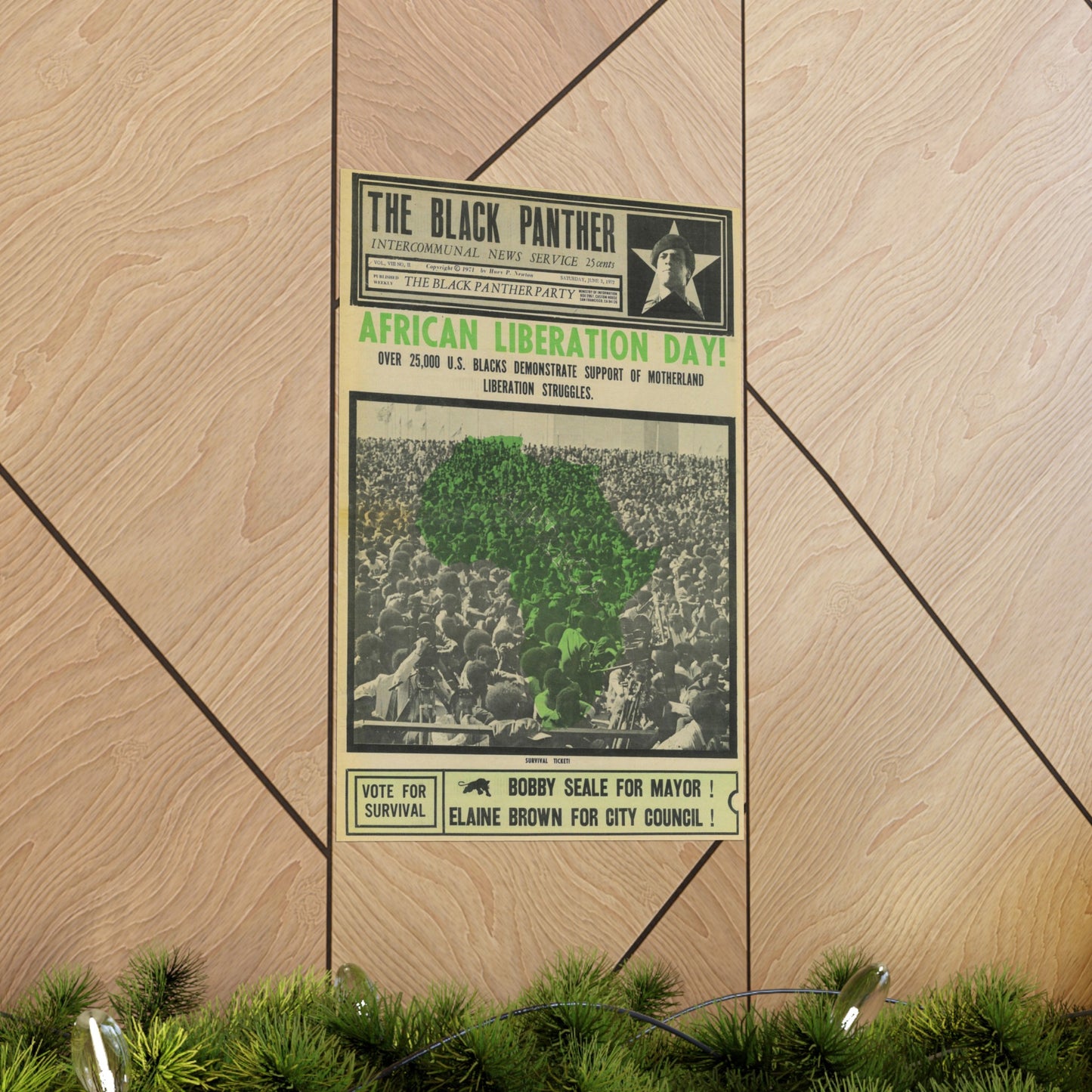 1970s African Liberation Day Black Political Party Propaganda Poster,