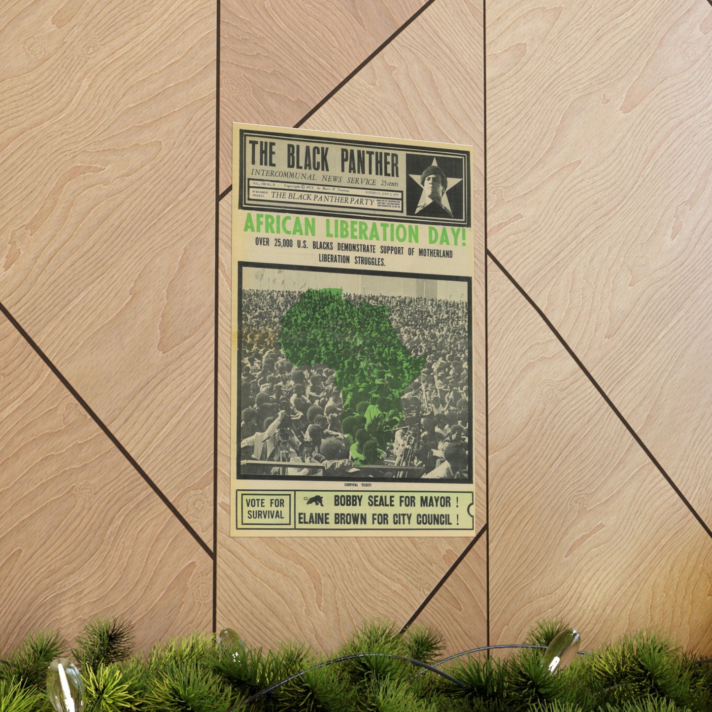 1970s African Liberation Day Black Political Party Propaganda Poster,