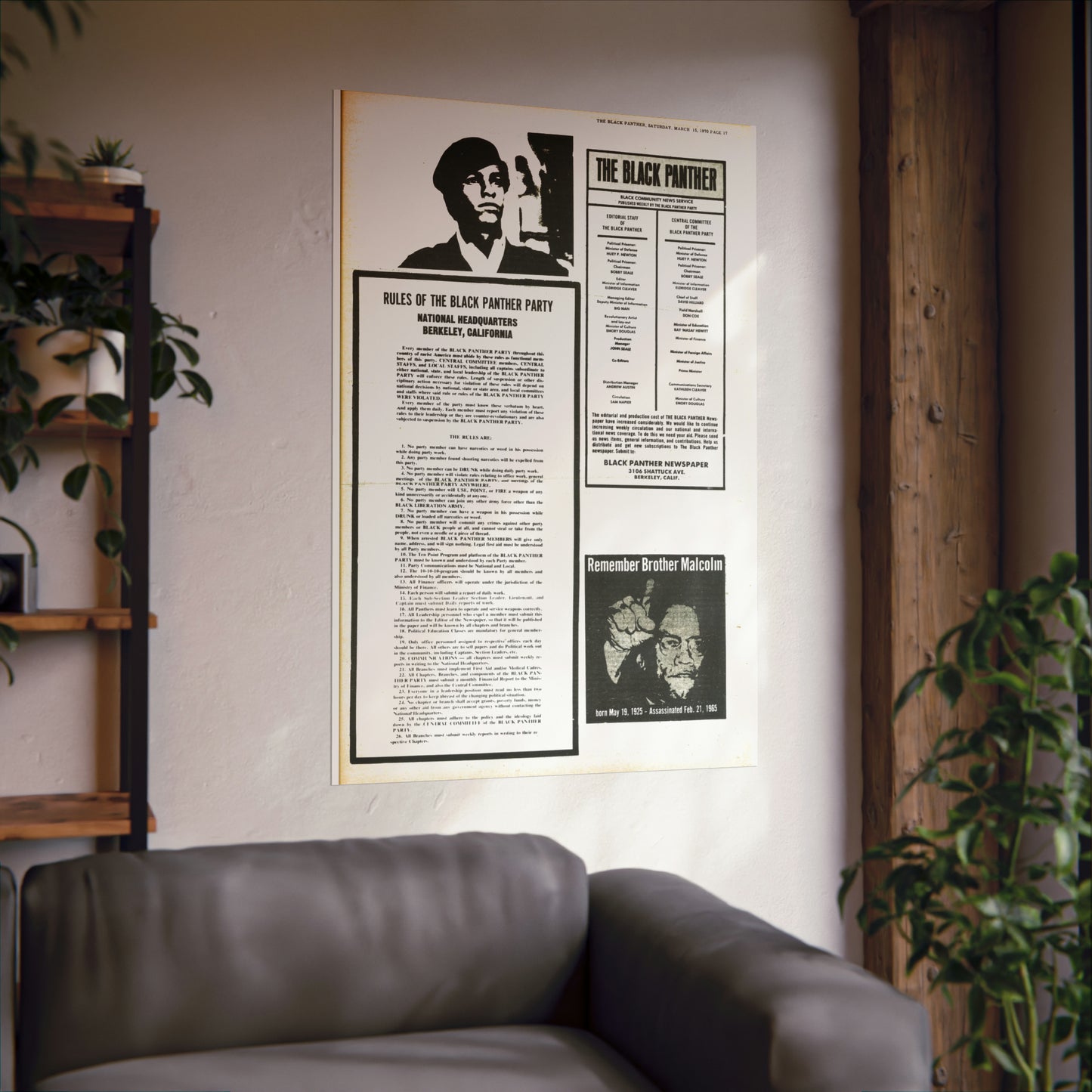 1970s Black Panther Party Rules, Black Political Party Propaganda Poster,