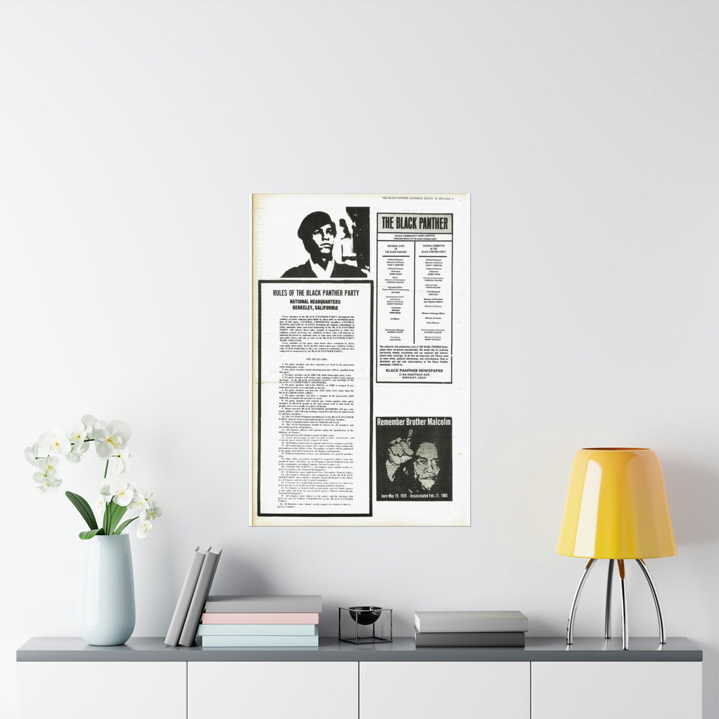 1970s Black Panther Party Rules, Black Political Party Propaganda Poster,