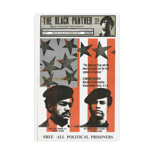1970s Political Prisoner Black Panther Political Party Propaganda Poster, Black Art Gifts Wall Decor, Civil Rights Liberal Political Memorabilia, Vintage History, African American Styles