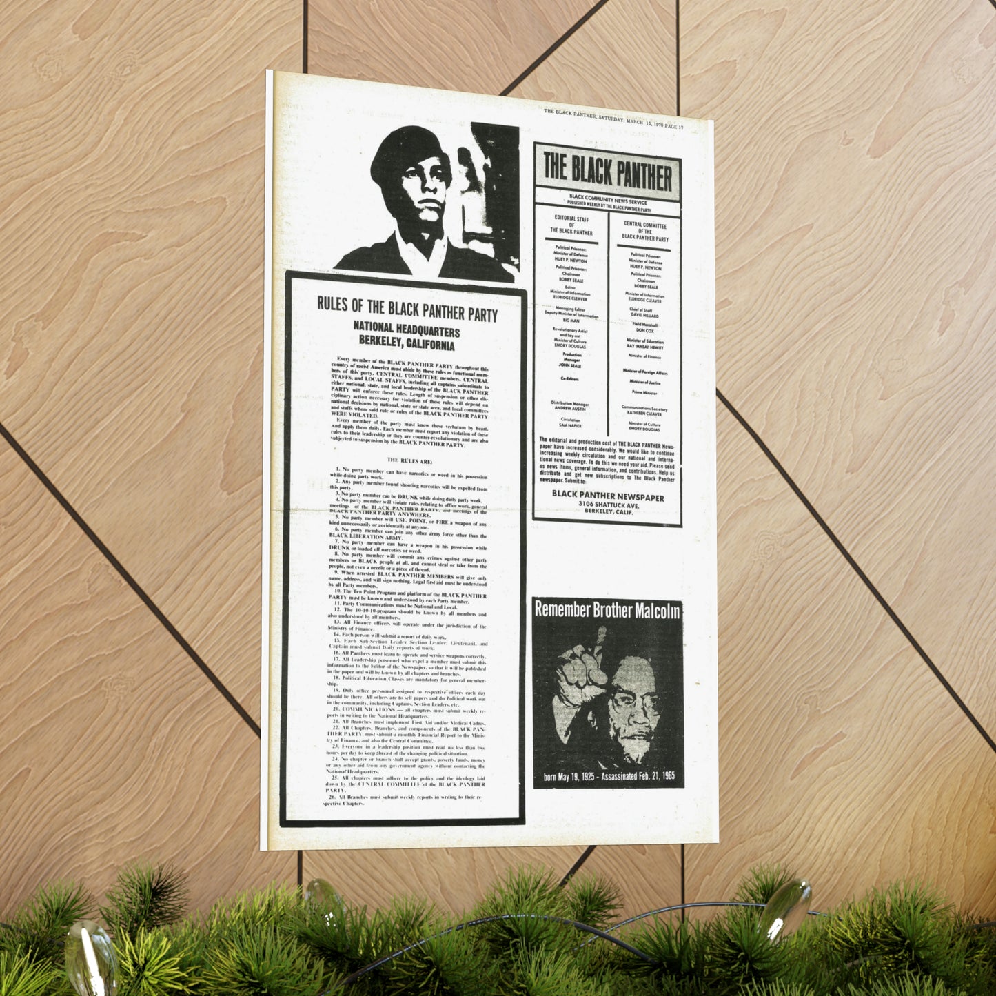 1970s Black Panther Party Rules, Black Political Party Propaganda Poster,
