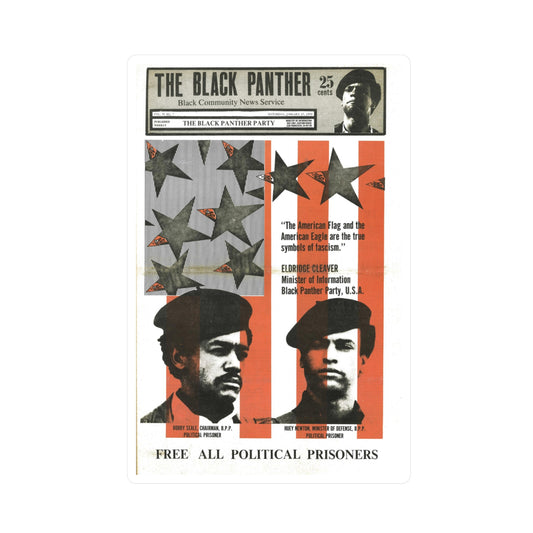 Black Panther Political Party Propaganda, Education Art Civil Rights Memorabilia, Government Conspiracies, History Gift, Black Artists