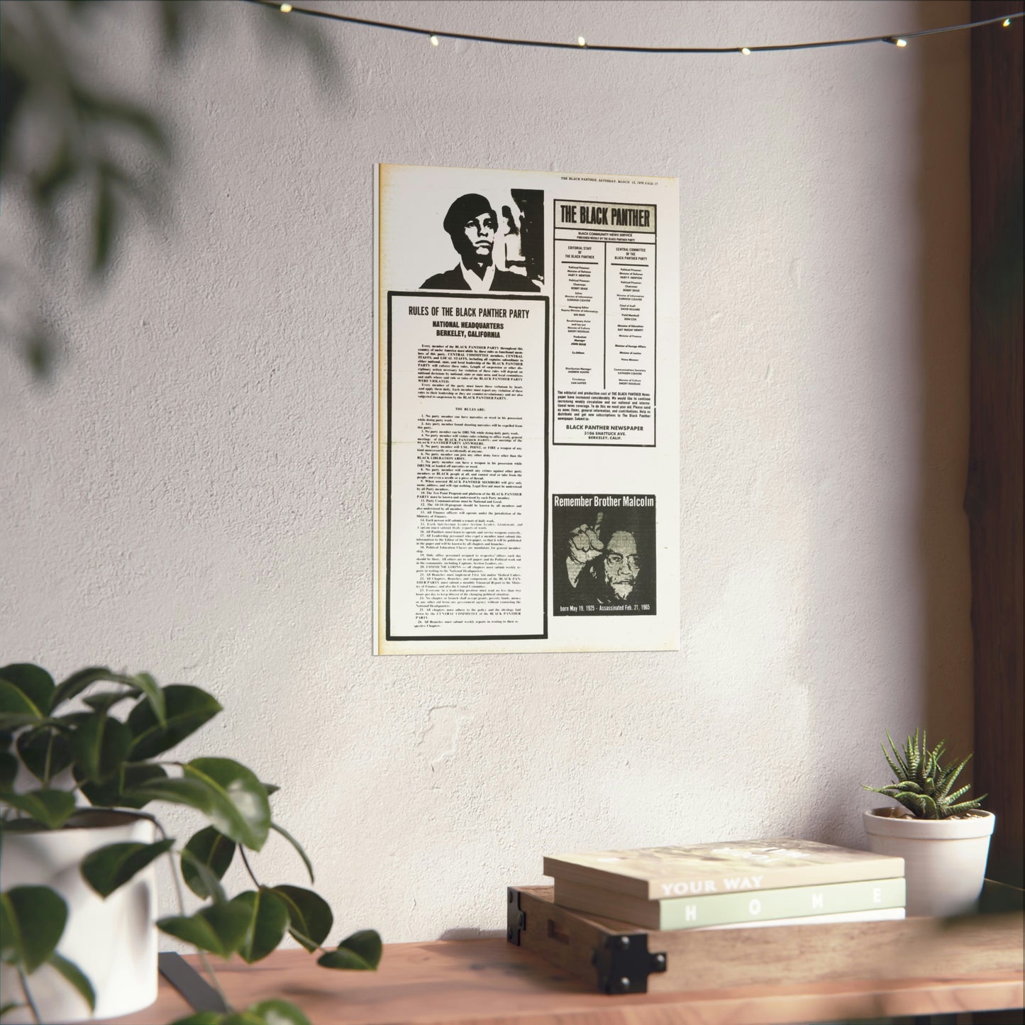 1970s Black Panther Party Rules, Black Political Party Propaganda Poster,