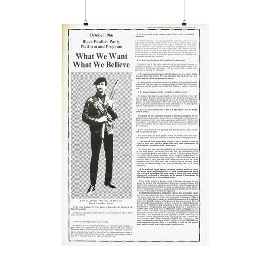 1971 Black Panther Political Party Demands, Propaganda Poster, Black Art Gifts Wall Decor, Civil Rights Liberal Political Memorabilia, Vintage History, African American Styles