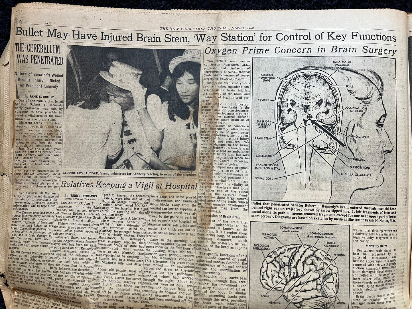 1960 Bobby Kennedy Assassination, Kennedy Assassination Conspiracy, US Presidents Politics, Political Gifts, Democrat Liberal Gifts, JFK Ele