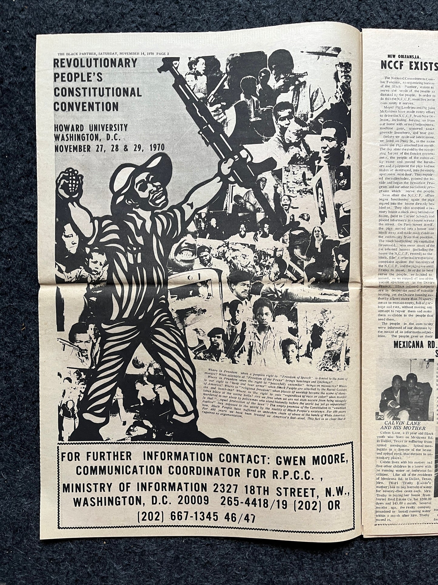 1970 Black Panther Political Party Propaganda, Education Art Civil Rights Memorabilia, Government Conspiracies, History Gift, Black Artists