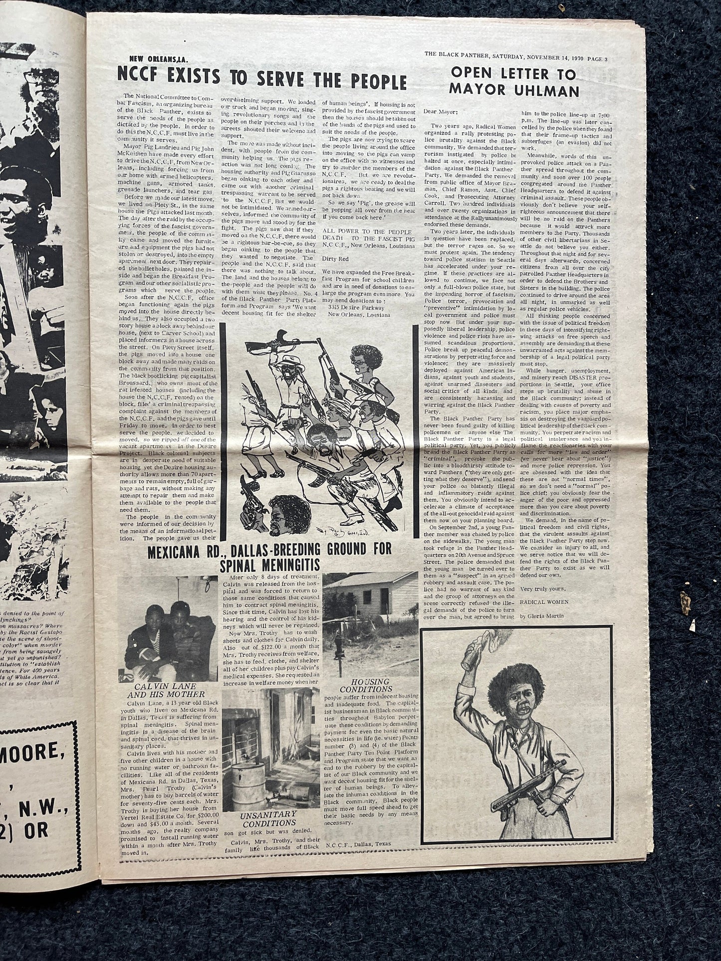 1970 Black Panther Political Party Propaganda, Education Art Civil Rights Memorabilia, Government Conspiracies, History Gift, Black Artists