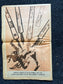 1970 Vietnam War Black Panther Political Party Support Propaganda, Education Art Civil Rights Memorabilia, Vietnam Newspapers, History Gifts