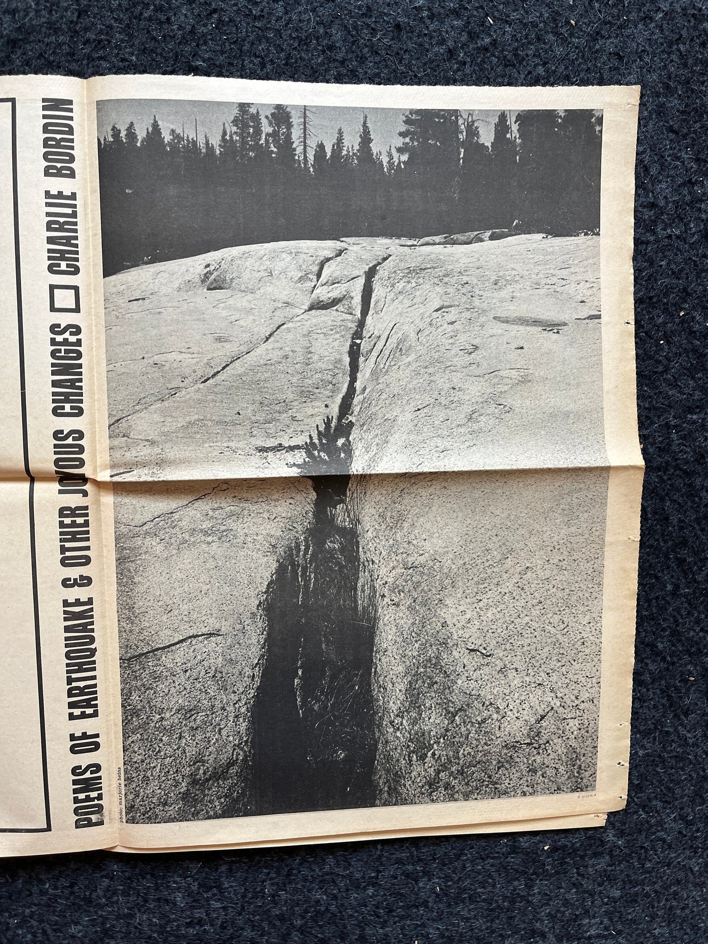 1970s Berkeley Bark CounterCulture, Black Panther Party, Underground Newspaper, Vintage Newspaper, San Francisco California, Black Gifts