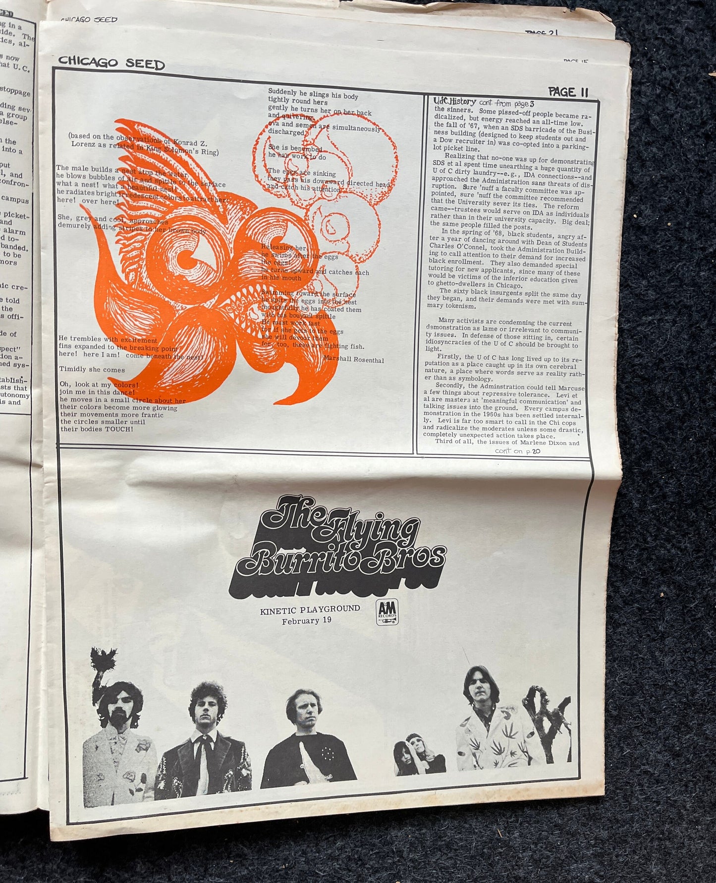 1970s Chicago Changes Underground Newspaper, Black Panther Party, Vintage Antique Collectibles, San Francisco Gifts, Anarchist Gifts,