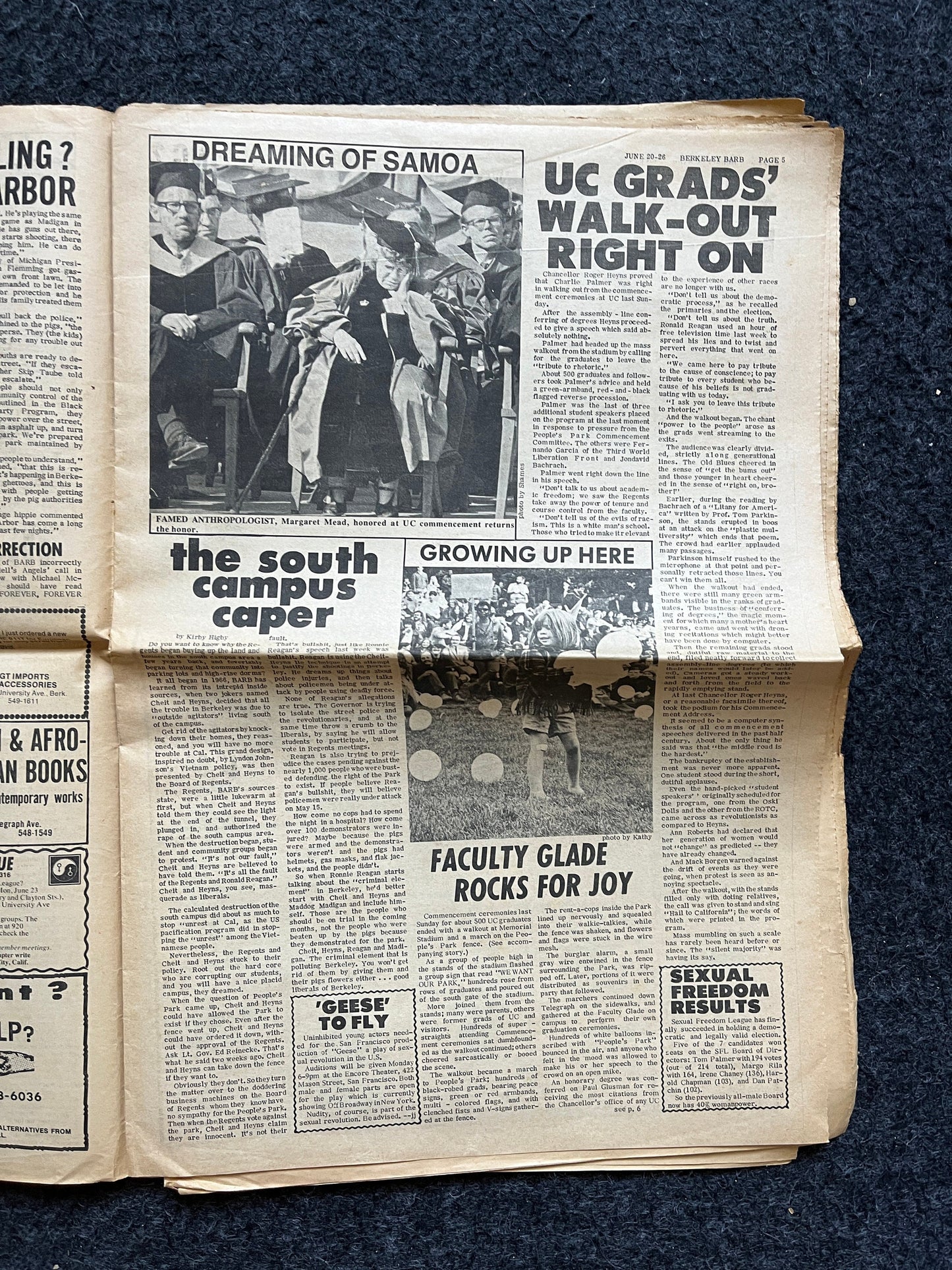 1970s Berkeley Bark CounterCulture, Black Panther Party, Underground Newspaper, Vintage Newspaper, San Francisco California, Black Gifts