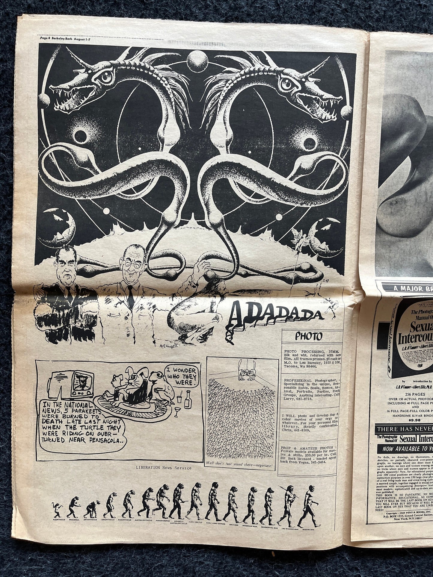 1970s Berkeley Bark CounterCulture, Black Panther Party, Underground Newspaper, Vintage Newspaper, San Francisco California, Black Gifts