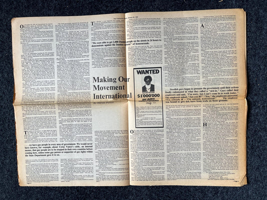1980s American Lesbian in Paris Newspaper, LGBTQIA Memorabilia, Queer Gifts Artworks, Lesbian gift, Trans Acceptance, Gay Books Magazines,