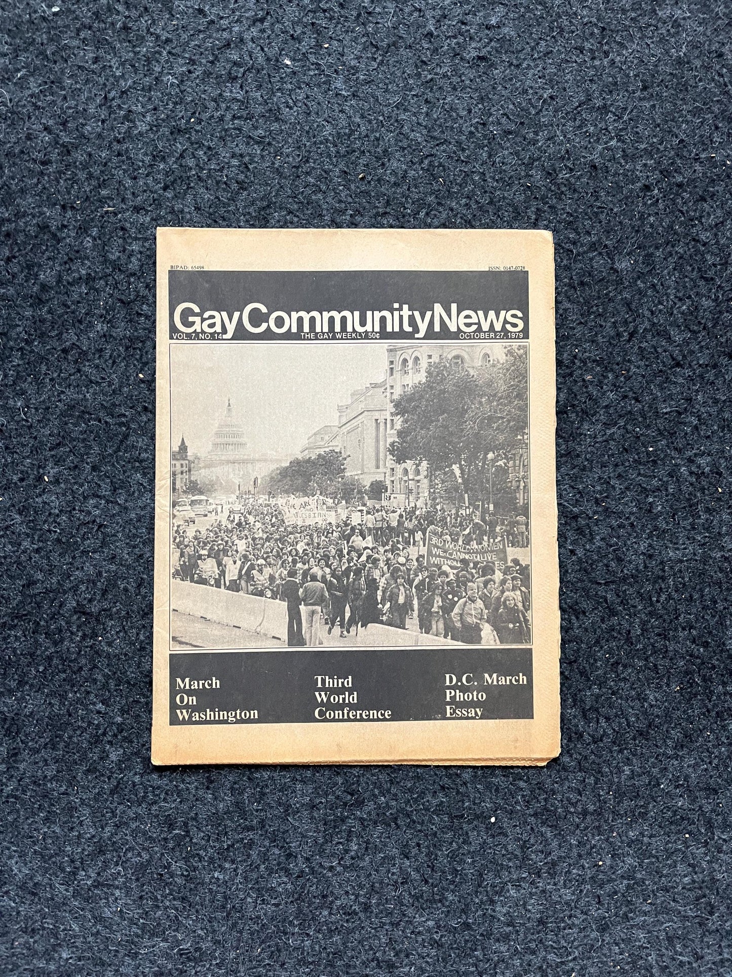 1980s Gay Pride March in Washington DC, LGBTQIA Memorabilia, Queer Gifts Artworks, Lesbian gift, Trans Rights, Gay Books Magazines,