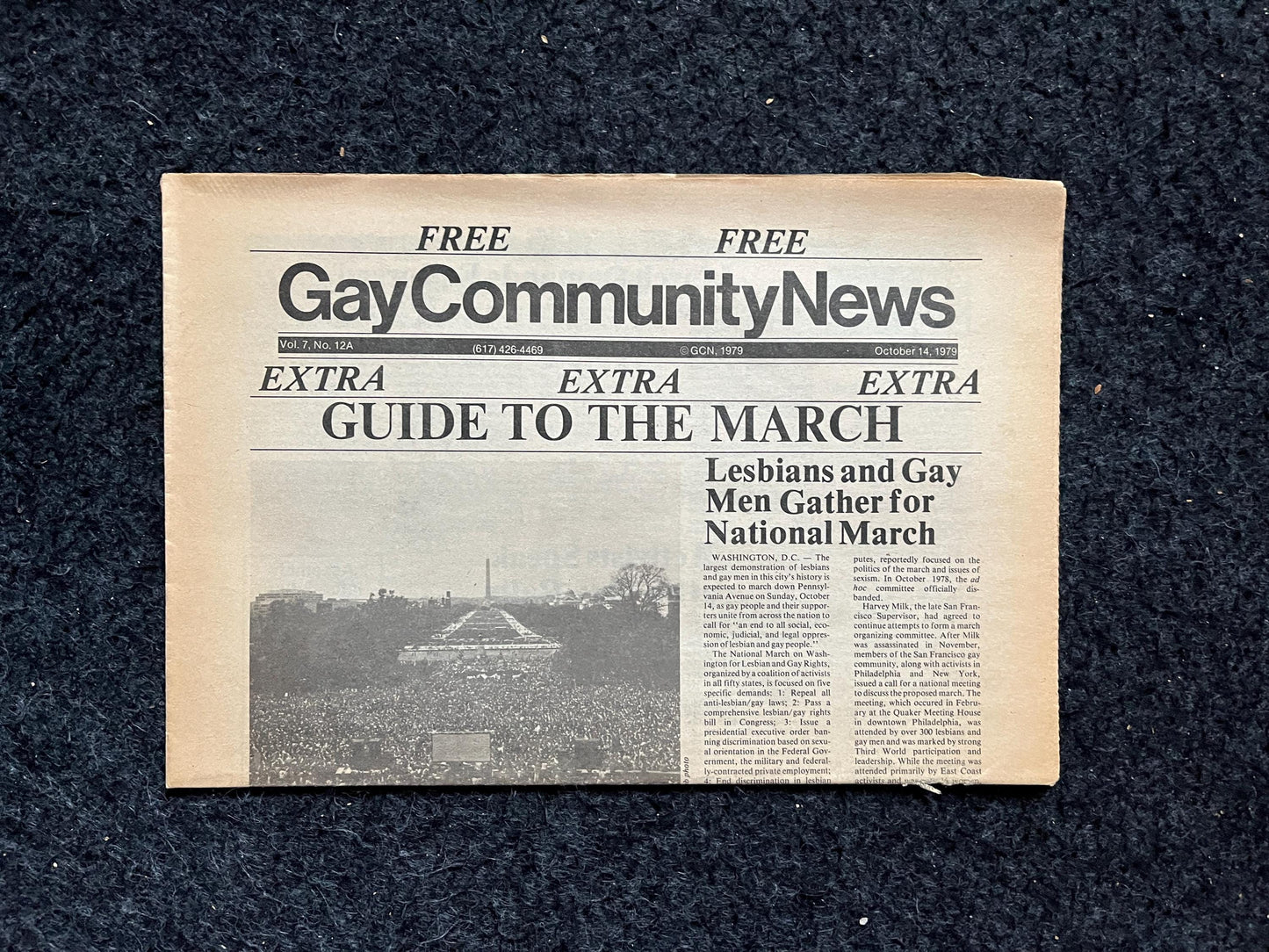 1980s Gay Pride March in Washington DC, LGBTQIA Memorabilia, Queer Gifts Artworks, Lesbian gift, Trans Rights, Gay Books Magazines,