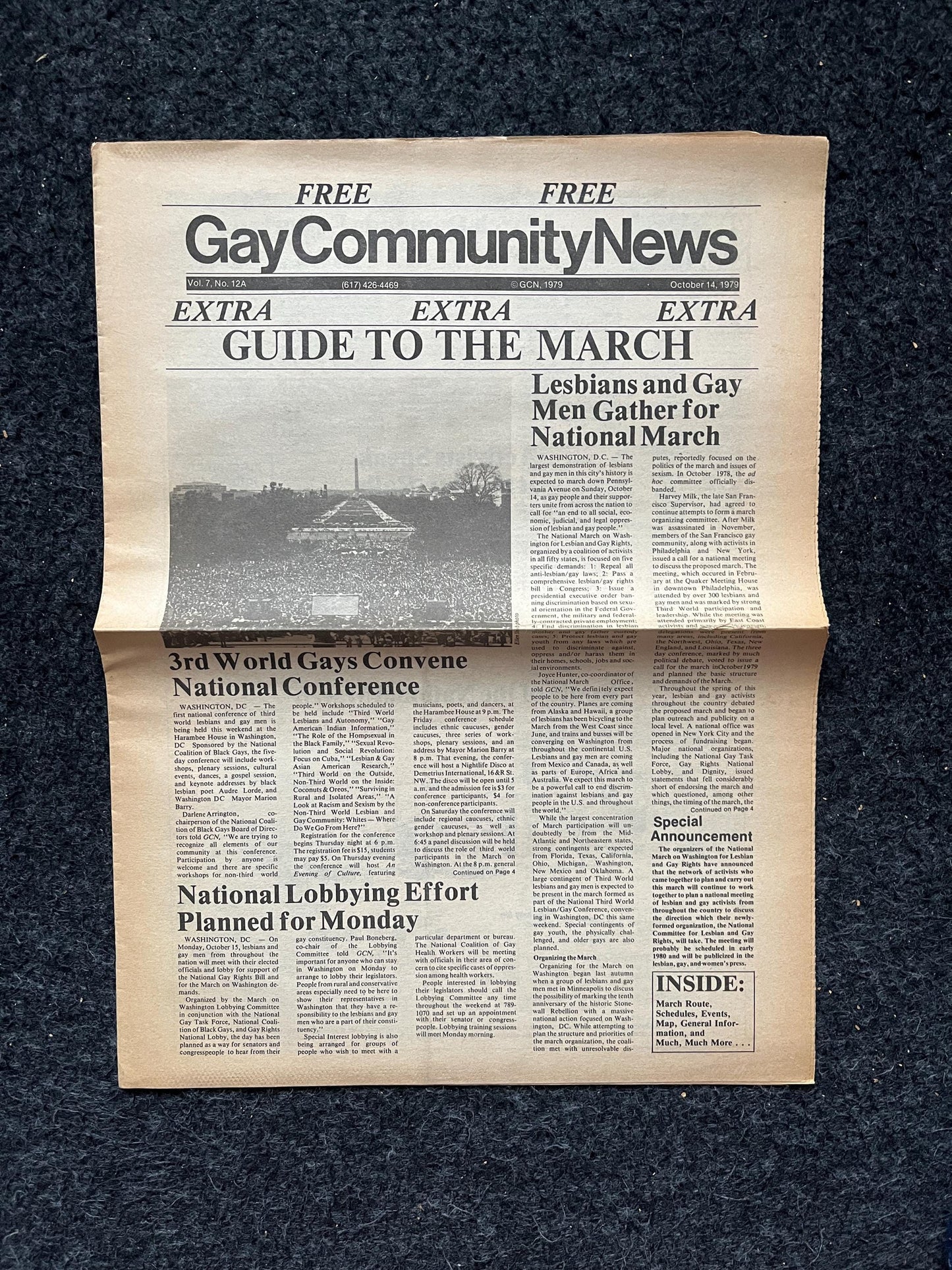 1980s Gay Pride March in Washington DC, LGBTQIA Memorabilia, Queer Gifts Artworks, Lesbian gift, Trans Rights, Gay Books Magazines,