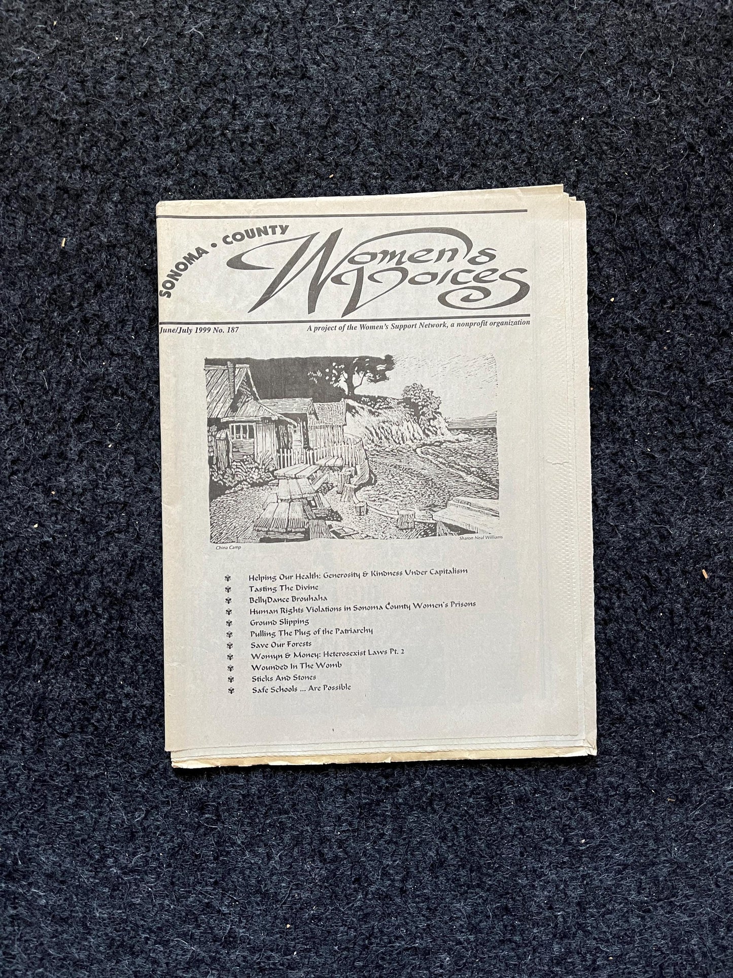 Vintage 200 Feminist Newspaper, Womens Voice Third Wave Feminism, Gifts for Wife Mother, Feminist Gifts, Female Empowerment, Feminist Art