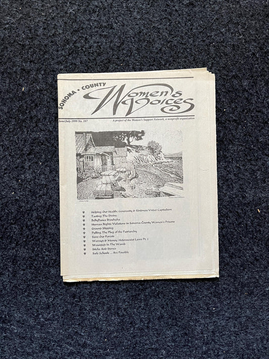 Vintage 200 Feminist Newspaper, Womens Voice Third Wave Feminism, Gifts for Wife Mother, Feminist Gifts, Female Empowerment, Feminist Art