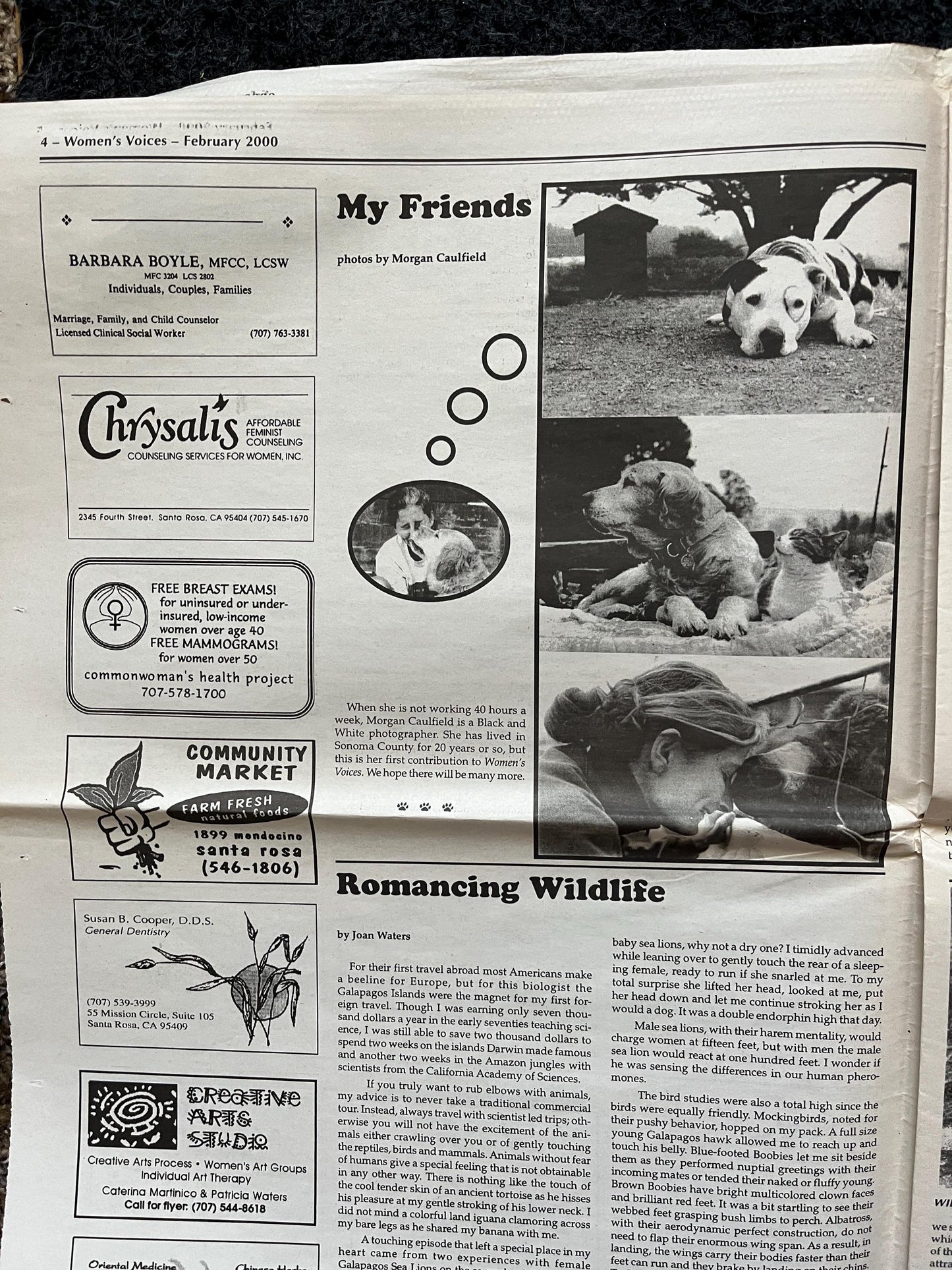 Vintage 2000 Pet Feminist Newspaper, Womens Voice Third Wave Feminism, Gifts for Wife Mother, Feminist Gifts, Female Empowerment