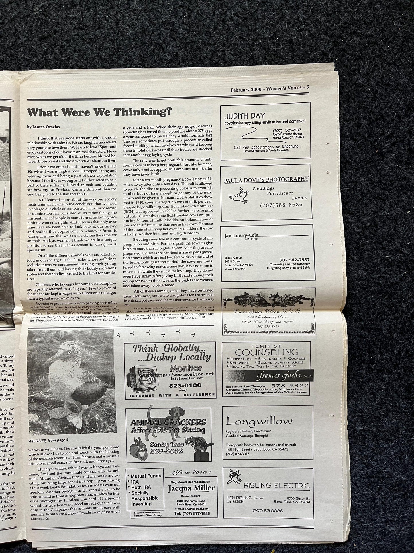 Vintage 2000 Pet Feminist Newspaper, Womens Voice Third Wave Feminism, Gifts for Wife Mother, Feminist Gifts, Female Empowerment