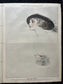 Roaring 20s Fashion and Haircuts - 1920s Spring Fashion and Art - Original Vintage Newspapers Great Depression Art Fashion - Vintage Adverts