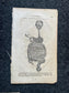 Original 1848 Anatomy Pages of the Human Body, Anatomy Physiology Gifts, Teachers Aid Biology, Morbid Gifts, Witch Decor Gifts, Human Body