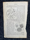 Original 1848 Anatomy Pages of the Human Body, Anatomy Physiology Gifts, Teachers Aid Biology, Morbid Gifts, Witch Decor Gifts, Human Body