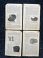 Original 1848 Anatomy Pages of Medical Art, Anatomy Physiology Gifts, Teachers Aid Biology, Morbid Gifts, Witch Decor Gifts, Human Body