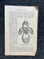 Original 1848 Anatomy Pages of Medical Art, Anatomy Physiology Gifts, Teachers Aid Biology, Morbid Gifts, Witch Decor Gifts, Human Body