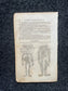 Original 1848 Anatomy Pages of the Human Body, Anatomy Physiology Gifts, Teachers Aid Biology, Morbid Gifts, Witch Decor Gifts, Human Body