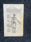 Original 1848 Anatomy Pages of the Human Body, Anatomy Physiology Gifts, Teachers Aid Biology, Morbid Gifts, Witch Decor Gifts, Human Body
