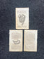 Original 1848 Anatomy Pages of the Human Body, Anatomy Physiology Gifts, Teachers Aid Biology, Morbid Gifts, Witch Decor Gifts, Human Body