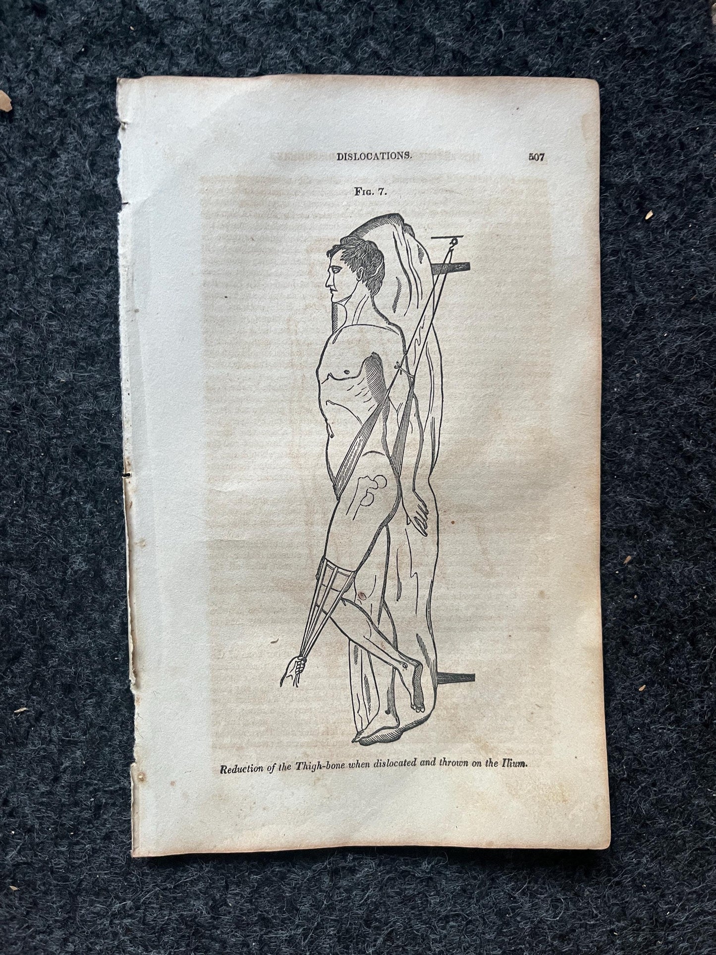 Original 1848 Womens Corset Anatomy Pages of the Human Body, Anatomy Physiology Gifts, Teachers Aid Biology, Morbid Gifts, Witch Decor Gifts