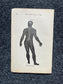 Original 1848 Anatomy Pages of Medical Art, Anatomy Physiology Gifts, Teachers Aid Biology, Morbid Gifts, Witch Decor Gifts, Human Body