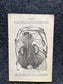 Original 1848 Anatomy Pages of Medical Art, Anatomy Physiology Gifts, Teachers Aid Biology, Morbid Gifts, Witch Decor Gifts, Human Body