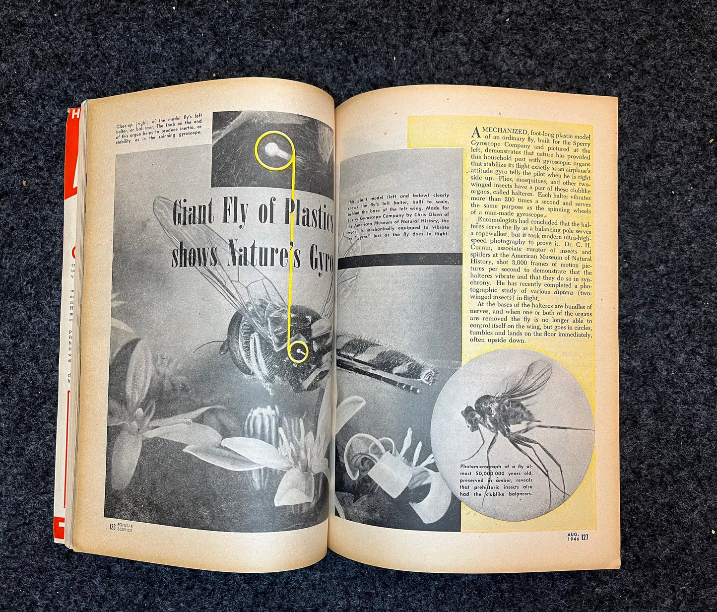 Vintage Popular Science Magazine -Home Living Retrofuturism- Prefab Houses, 1960s 1970s housing styles fashion - Gifts for Her - Original Ma