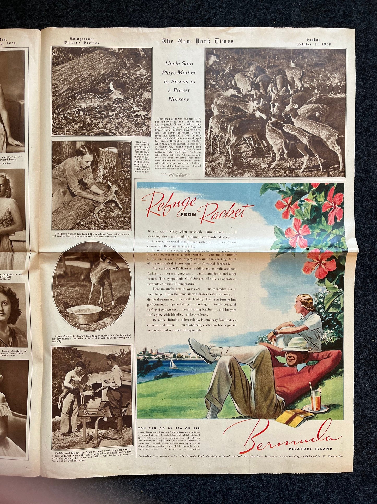 1938 New York Times - The HMS Queen Elizabeth Steamship - Worlds Largest Steamship - British Navy - Debutantes and Forestry Ecology