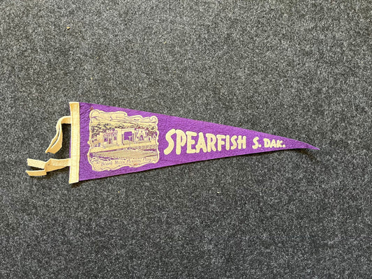 Vintage Spearfish South Dakota Pennon Flag, Vintage Camp Flags, Old Flags, Triangle Flags, Native American Art, Bunting Flag, 26x8
