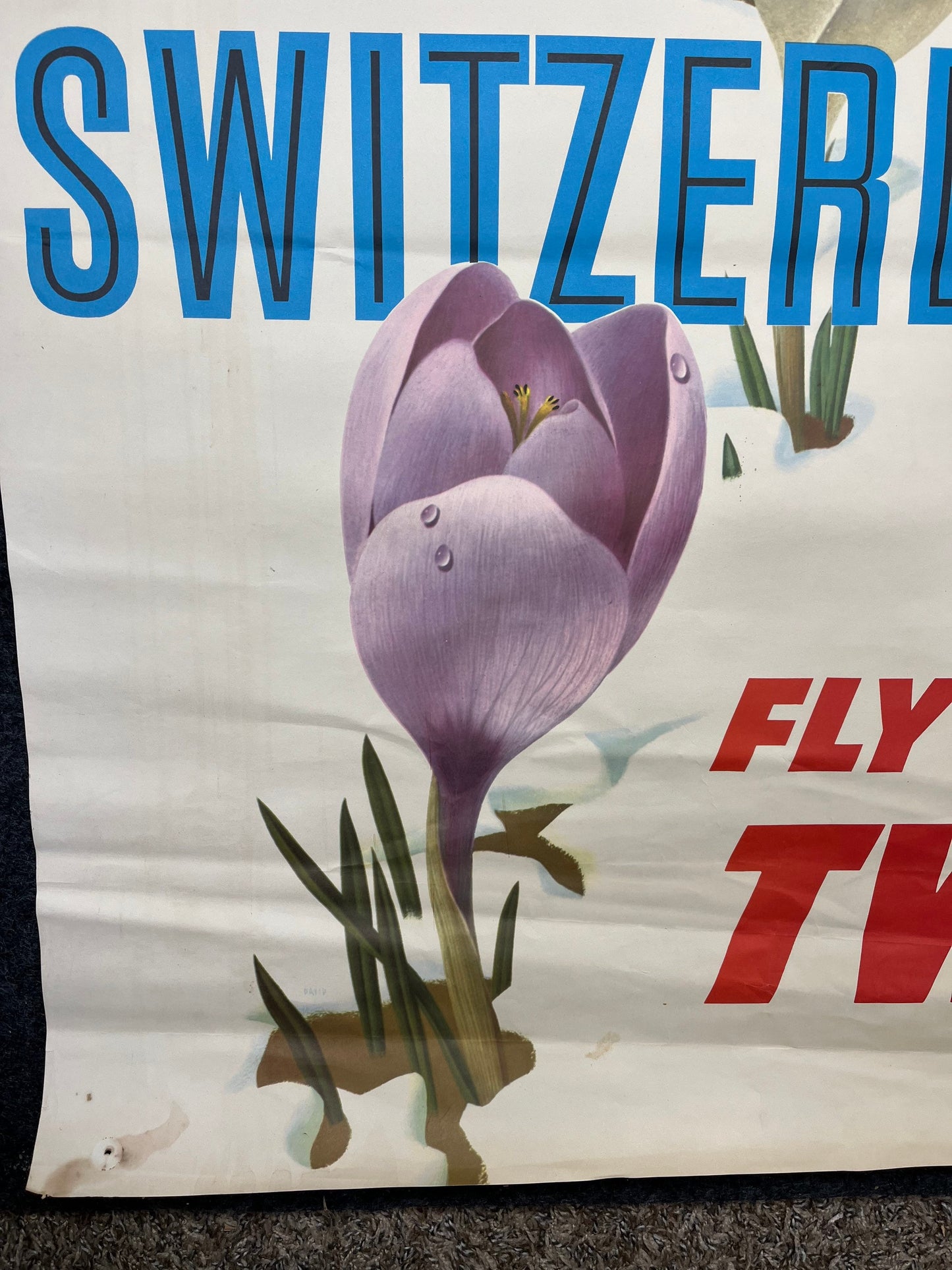 1950s Switzerland Tulips Fly TWA Airlines Vintage Travel Poster Switzerland David Klein - RARE alt art poster - Original Travel Poster, Euro