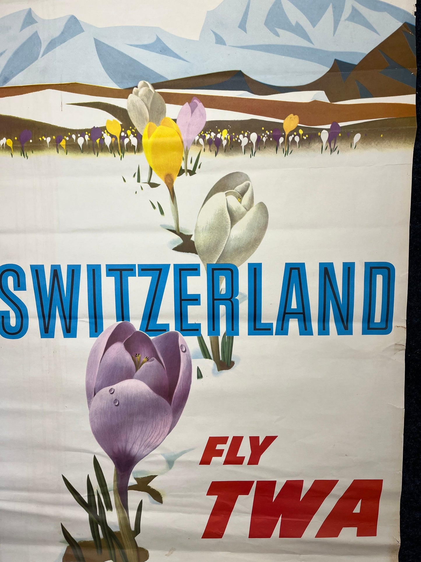 1950s Switzerland Tulips Fly TWA Airlines Vintage Travel Poster Switzerland David Klein - RARE alt art poster - Original Travel Poster, Euro