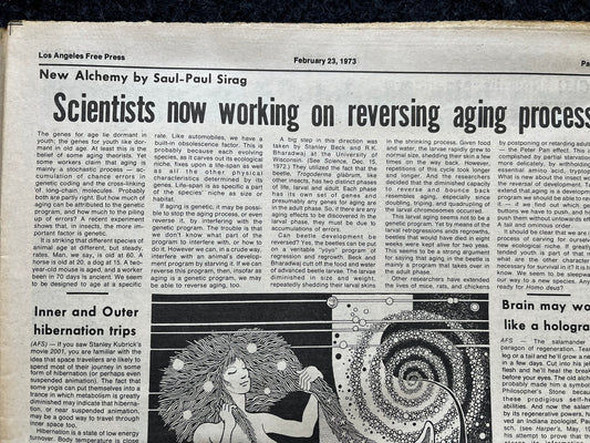1970s CounterCulture LGBT Los Angeles Free Press, Black Panther Party, Underground Far-Left Newspaper, Vintage Newspaper, Original Newspaper